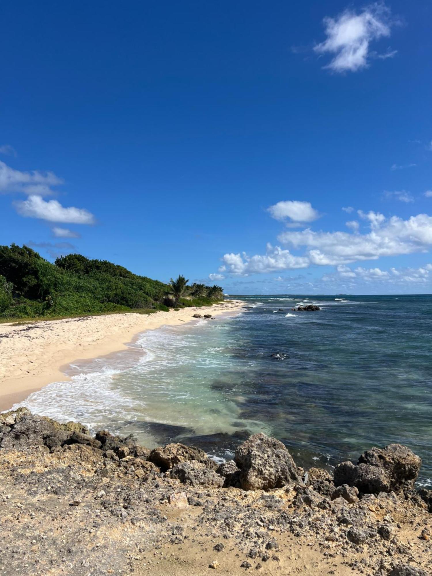 Studio Bord De Mer Avec Piscine - Le Manganao, Saint-Francois Exteriér fotografie