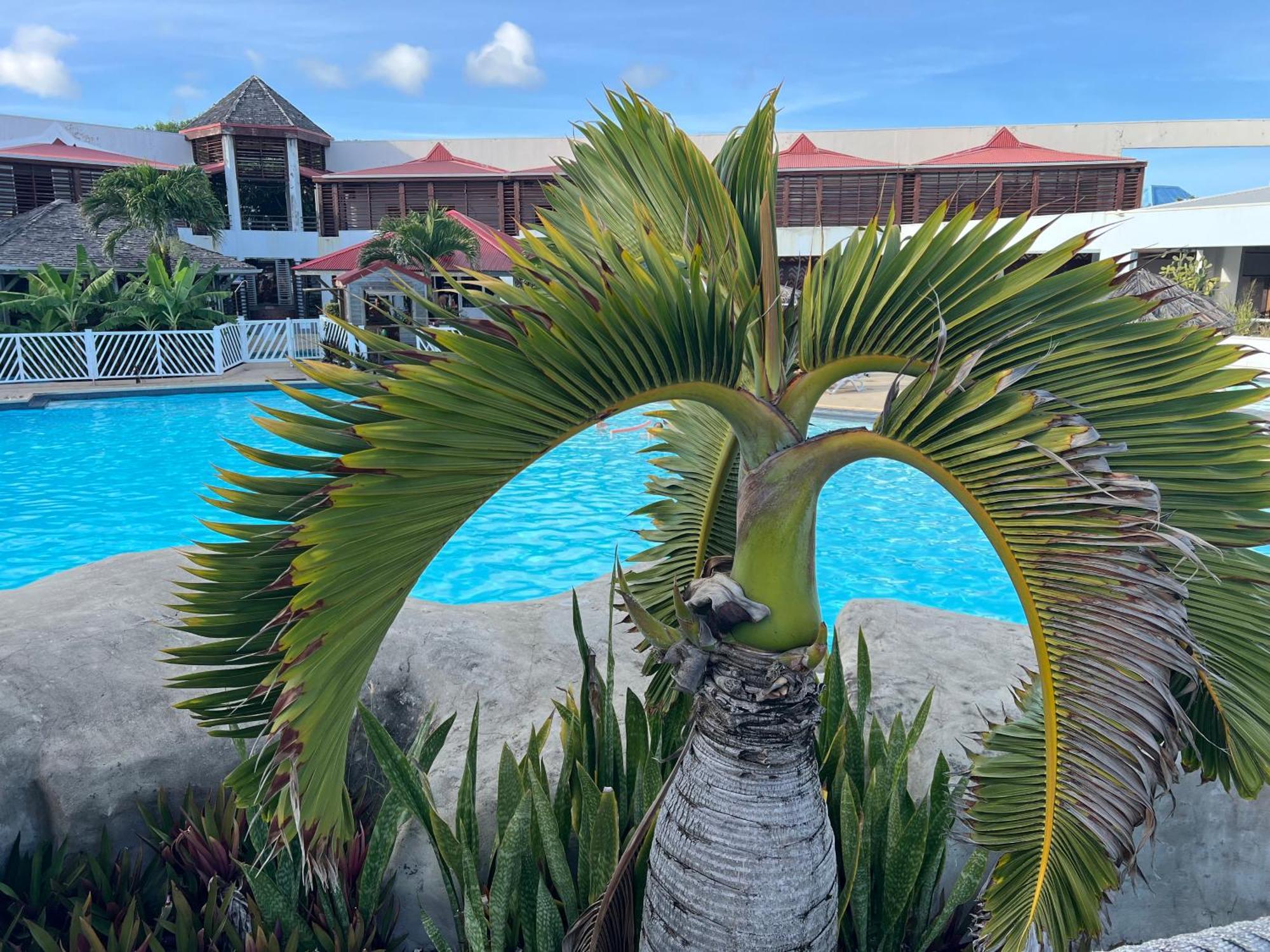 Studio Bord De Mer Avec Piscine - Le Manganao, Saint-Francois Exteriér fotografie